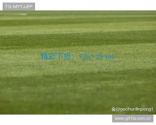 爱游戏体育网页版为用户提供全面的赛事数据分析和实时比分更新服务