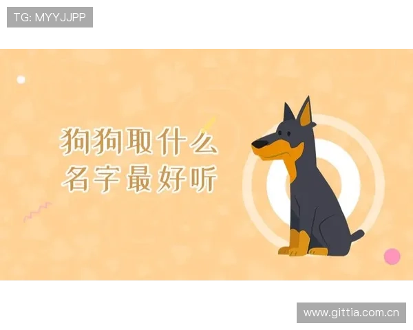 万狗体育下载官方渠道，确保安全无病毒的正版体育赛事观看体验