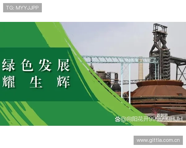 提升在12BET国际娱乐中的盈利技巧,专家推荐的实用策略与操作建议