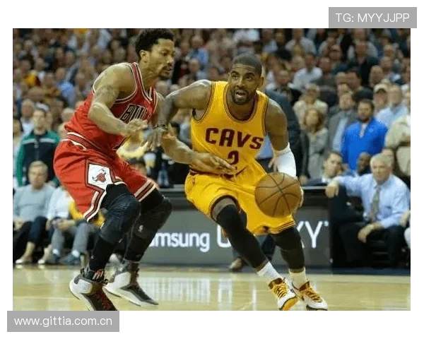 韦德平台常见问题解答全面覆盖新手玩家必看内容